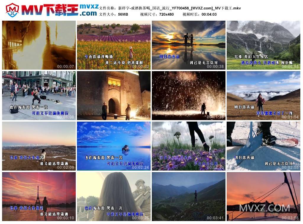 新样字-戒酒换茶喝_国语_流行_YF700458